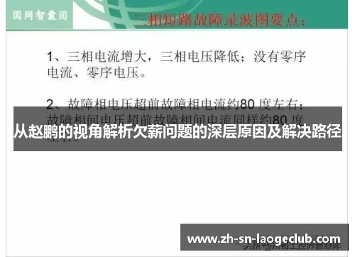 从赵鹏的视角解析欠薪问题的深层原因及解决路径 从赵鹏的视角解析欠薪问题的深层原因及解决路径
