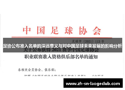 足协公布准入名单的深远意义与对中国足球未来发展的影响分析