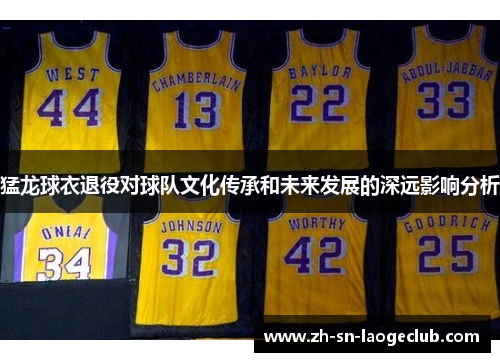猛龙球衣退役对球队文化传承和未来发展的深远影响分析