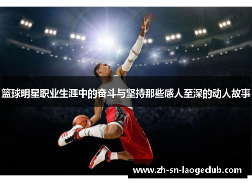 篮球明星职业生涯中的奋斗与坚持那些感人至深的动人故事